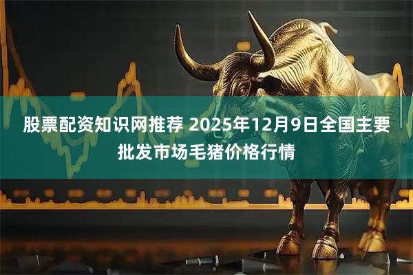 股票配资知识网推荐 2025年12月9日全国主要批发市场毛猪价格行情