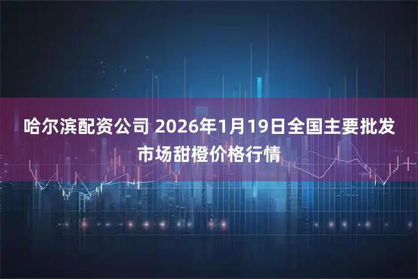 哈尔滨配资公司 2026年1月19日全国主要批发市场甜橙价格行情