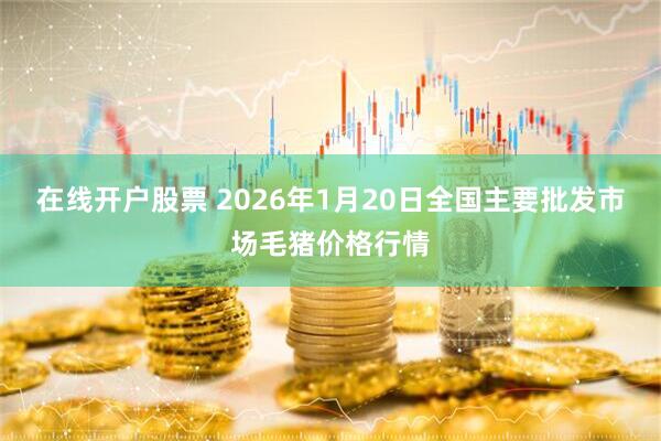 在线开户股票 2026年1月20日全国主要批发市场毛猪价格行情