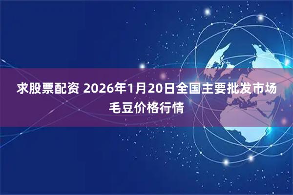 求股票配资 2026年1月20日全国主要批发市场毛豆价格行情