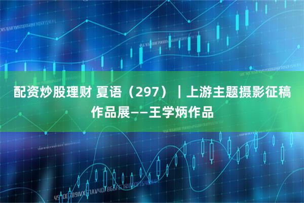 配资炒股理财 夏语（297）｜上游主题摄影征稿作品展——王学炳作品