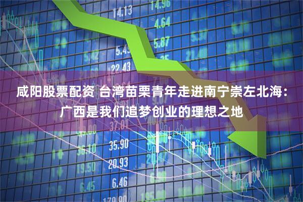 咸阳股票配资 台湾苗栗青年走进南宁崇左北海：广西是我们追梦创业的理想之地